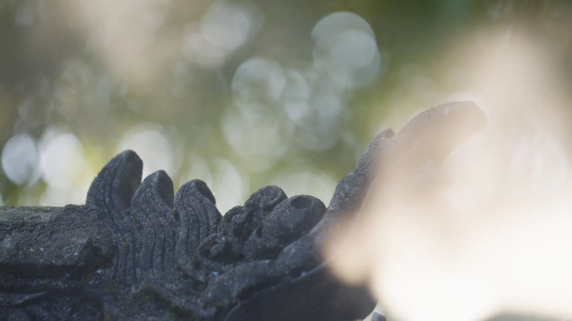 MEIZHOU DONGPO: WING CHUN